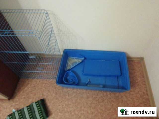 Клетка для грызунов Шиншила или другого крупного г Междуреченск - изображение 1
