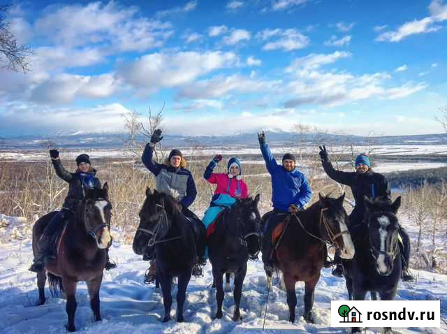 Прогулки верхом. Сани, карета Елизово - изображение 1