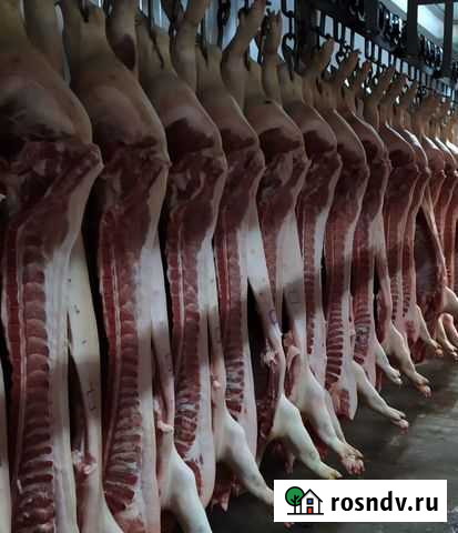 Мясо свинины в полутушах Агрокомплекс Горноуральск Екатеринбург - изображение 1
