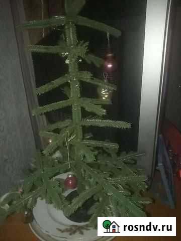Елочка СССР Череповец - изображение 1