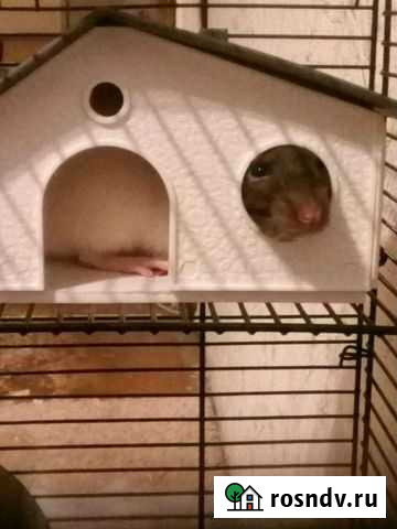 Шумоподовляющие боксы Белгород - изображение 1