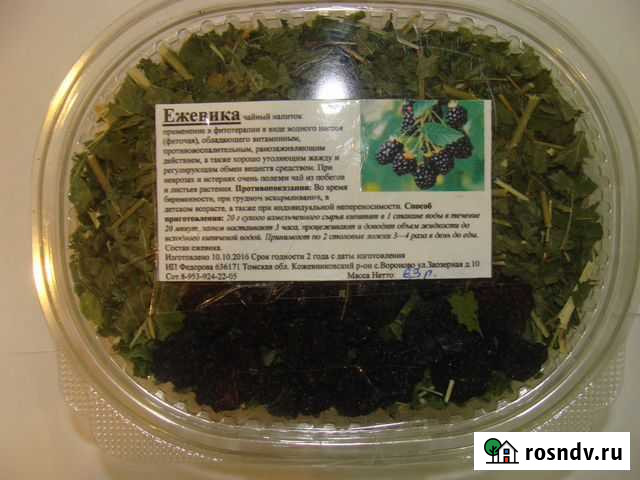 Ежевика лесная, листья ежевики Томск - изображение 1