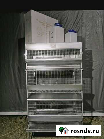 Куриная Мини Ферма Симферополь - изображение 1