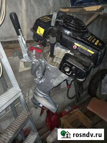 Гибрид чемпион с москвой Новоалтайск - изображение 1