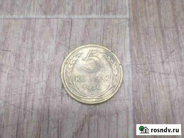 5 копеек 1926 года Мичуринск - изображение 1