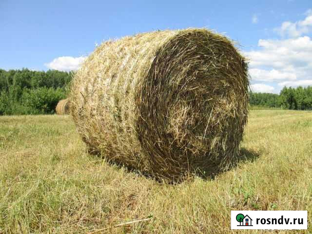 Сено в рулонах Кунашак - изображение 1
