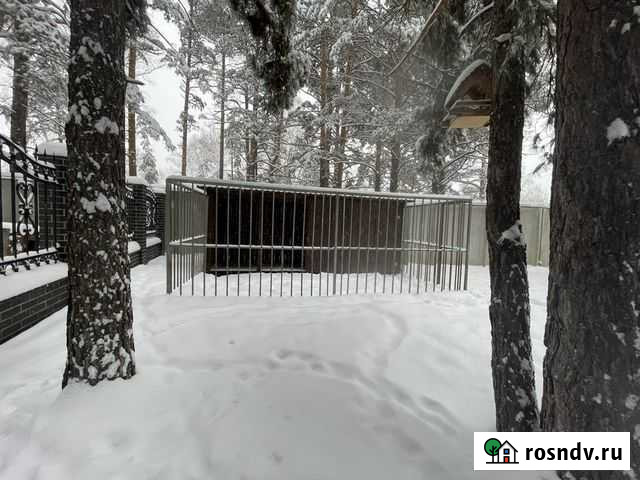 Вольер для собак Новоалтайск - изображение 1