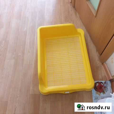 Лоток туалет для собак Петропавловск-Камчатский - изображение 1