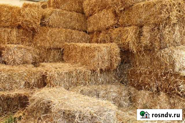 Солома в тюках Аргаяш - изображение 1