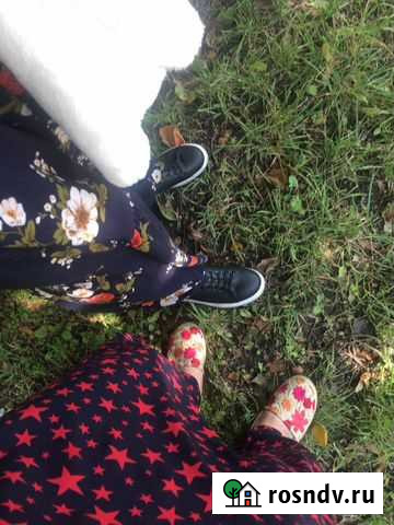 Няня Грозный - изображение 1