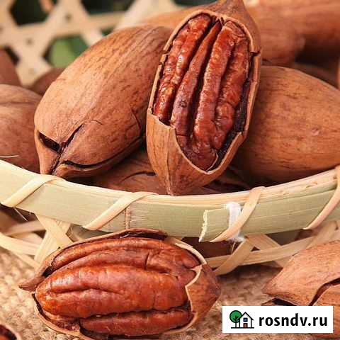 Пекан в скорлупе. Вкусно и полезно. Бразилия Астрахань - изображение 1