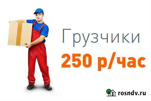 Услуги Грузчиков Чебоксары - изображение 1