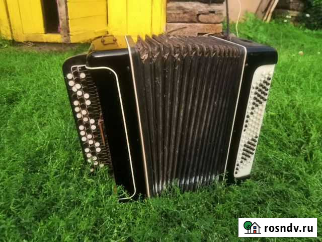 Баян в предсмертном состоянии Ачинск - изображение 1