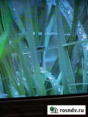 Отдам телевизор techno ts-7409f Тюмень - изображение 1