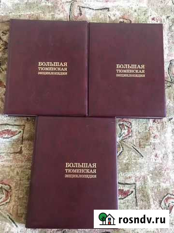 Большая Тюменская энциклопедия Омск - изображение 1