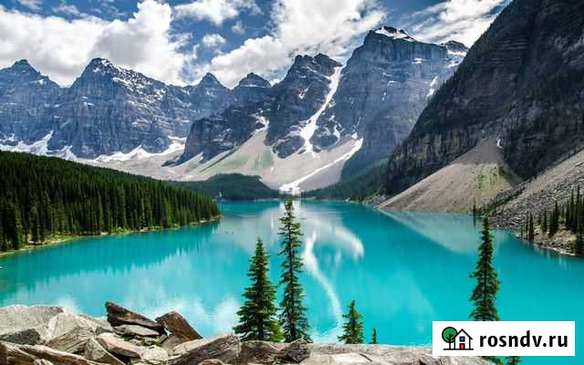 Картины Новосибирск - изображение 1