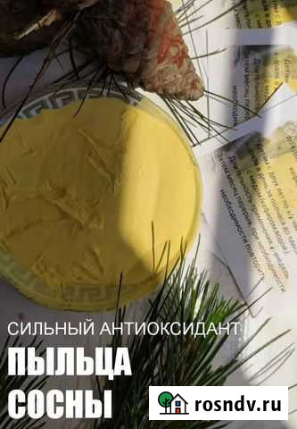 Пыльца сосны (при онкологии) Симоненко - изображение 1