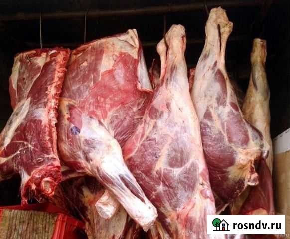 Мясо говядина Мишкино - изображение 1