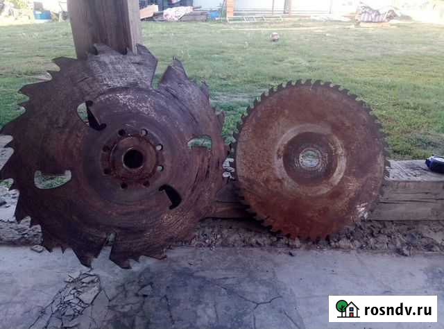 Диски для циркулярки с победитовыми напайками Омск - изображение 1