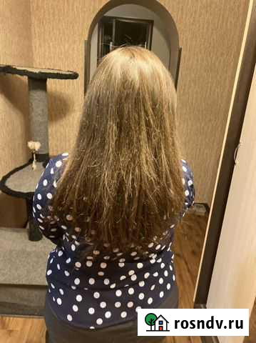 Волосы детские и взрослые Вышний Волочек - изображение 1