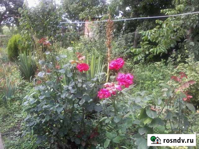 Участок СНТ, ДНП 8 сот. на продажу в Марьянской Марьянская - изображение 1