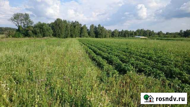 Участок СНТ, ДНП 53 сот. на продажу в Алексине Алексин - изображение 1