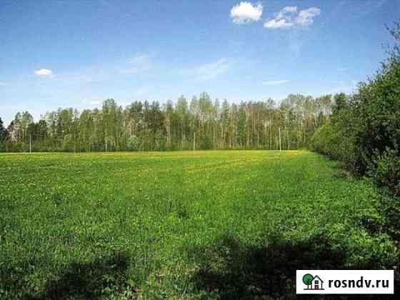 Участок СНТ, ДНП 219 сот. на продажу в Приозерске Приозерск