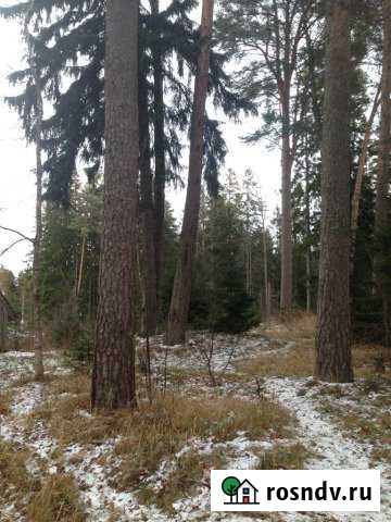 Участок ИЖС 15 сот. на продажу в Лебяжьем Ленинградской области Лебяжье - изображение 1