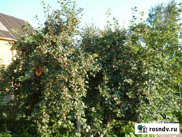 Дача 40 м² на участке 4.5 сот. на продажу в Богашево Богашево - изображение 1