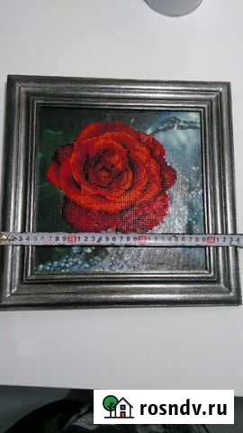 Роза Подольск - изображение 1