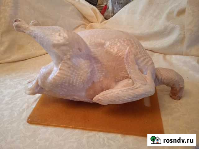 Мясо домашней индейки Тольятти - изображение 1