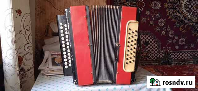 Гармошка Тульская Мелодия Ливны - изображение 1