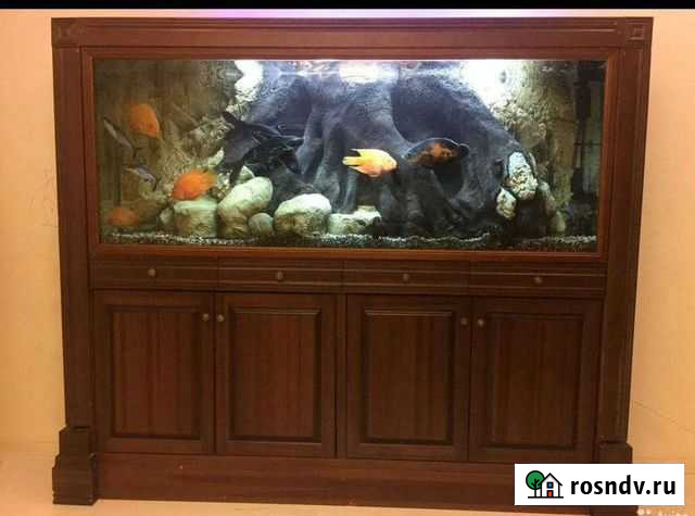 Эксклюзивный аквариум Иркутск - изображение 1