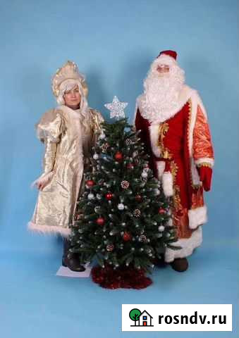 Дед мороз и снегурочка на дом Северск - изображение 1