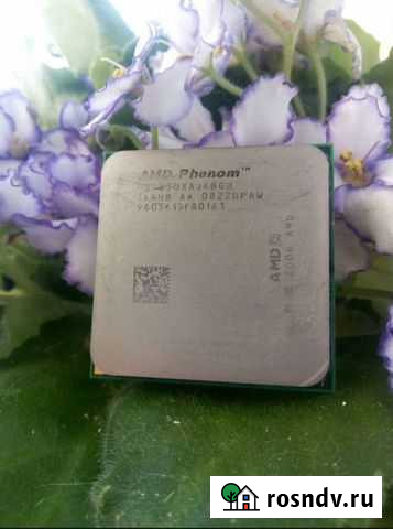 Процессор phenom 9850 Новосибирск - изображение 1