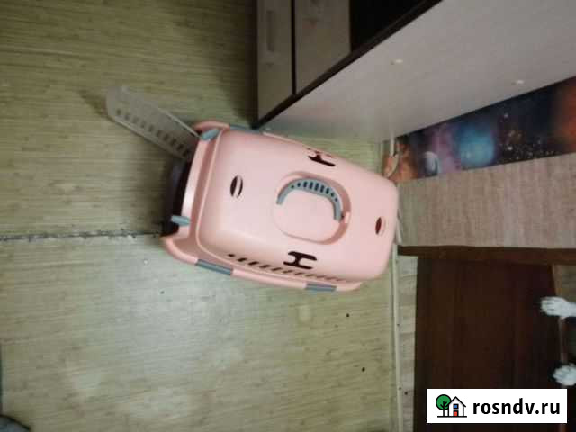 Переноска Волгоград - изображение 1