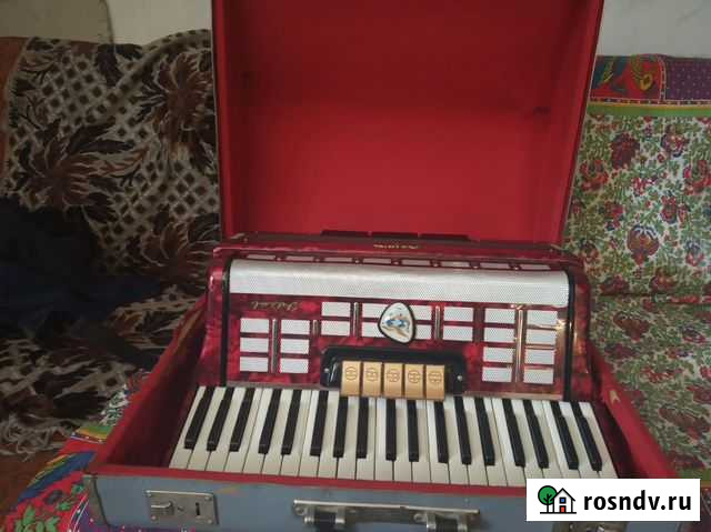 Аккордеон Ялта - изображение 1