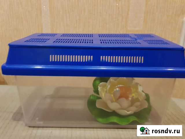 Аквариум Челябинск - изображение 1