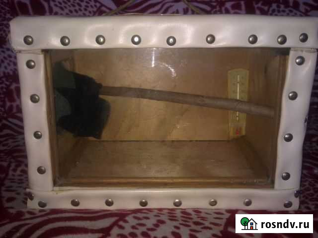 Переноска для птиц,зимняя Ульяновск - изображение 1