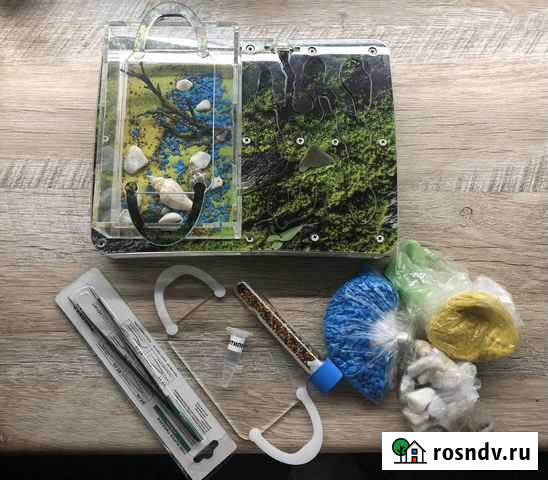 Муравьиная ферма Ant Planet Санкт-Петербург - изображение 1