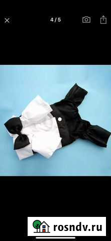 Одежда для собак Сочи - изображение 1