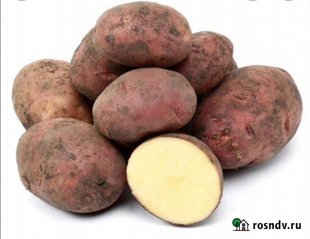 Продам картофель едовой Хабаровск - изображение 1