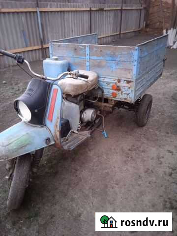 Муравей Кашары - изображение 1