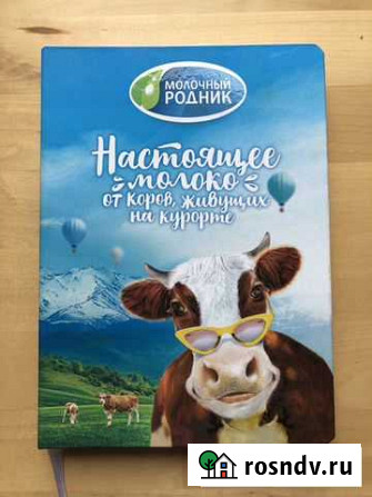 Новый Ежедневник Ростов-на-Дону - изображение 1