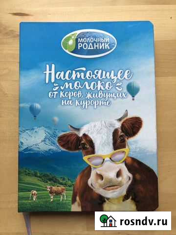 Новый Ежедневник Ростов-на-Дону - изображение 1