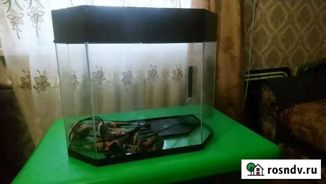 Аквариум Березовка - изображение 1