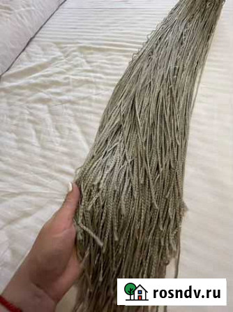 Продам зизи Новокузнецк - изображение 1