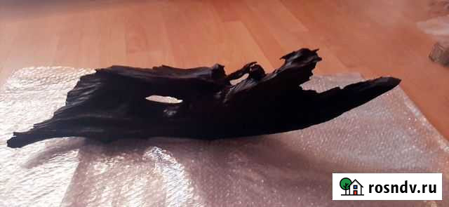 Коряга мангровая 70 см Чита - изображение 1