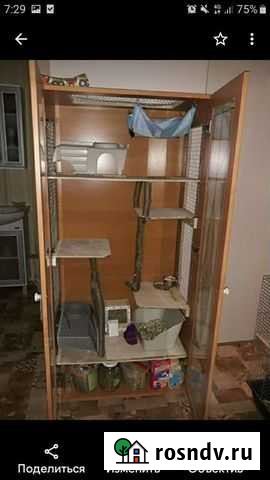 Витрина для шиншиллы Калининград - изображение 1