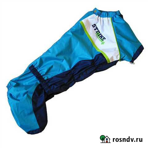 Комбенизоны для таксы (мальчик) Таганрог - изображение 1